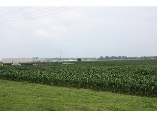 Property photo 4 - 69.3 +/- Acres offered in 2 Tracts